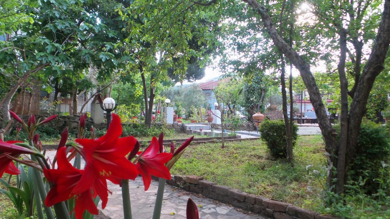 Native Hotel Ovacık 외부 사진